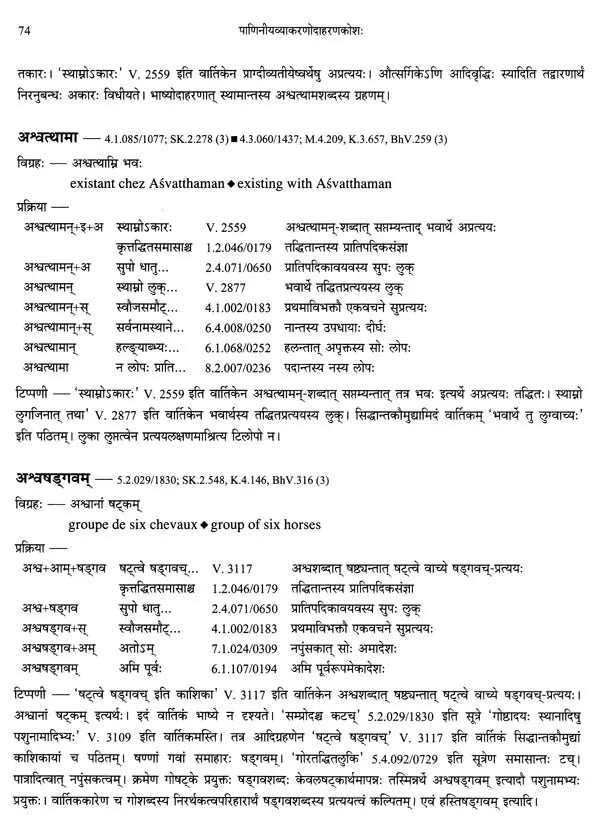 Paninian Grammar Through its Examples (The Book of Secondary Derivatives)- (IV-I Volume) - Retail Maharaj