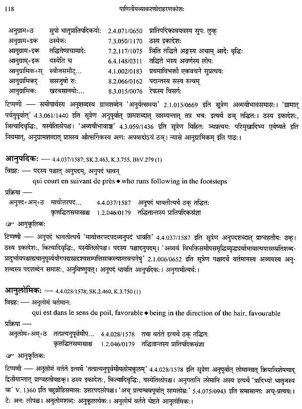 Paninian Grammar Through its Examples (The Book of Secondary Derivatives)- (IV-I Volume) - Retail Maharaj