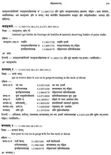 Paninian Grammar Through its Examples (The Book of Secondary Derivatives)- (IV-I Volume) - Retail Maharaj