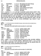 Paninian Grammar Through its Examples (The Book of Secondary Derivatives)- (IV-I Volume) - Retail Maharaj