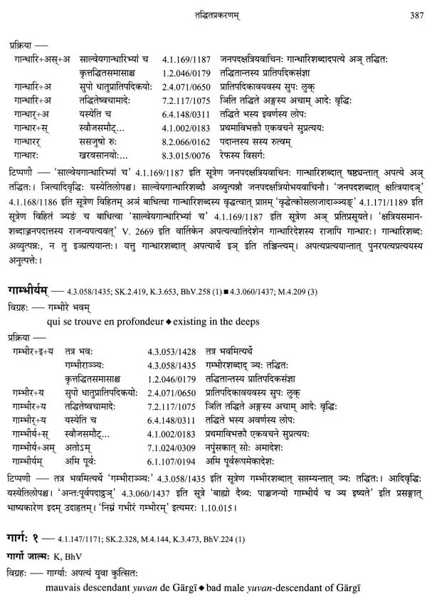 Paninian Grammar Through its Examples (The Book of Secondary Derivatives)- (IV-I Volume) - Retail Maharaj