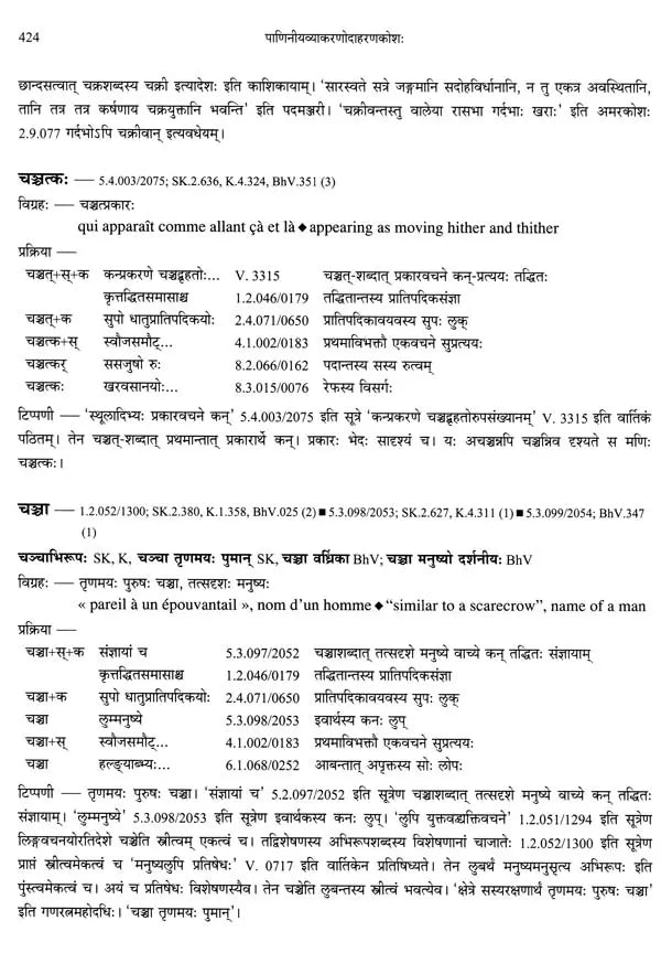 Paninian Grammar Through its Examples (The Book of Secondary Derivatives)- (IV-I Volume) - Retail Maharaj