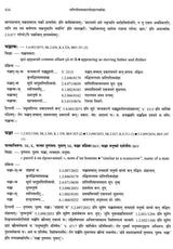 Paninian Grammar Through its Examples (The Book of Secondary Derivatives)- (IV-I Volume) - Retail Maharaj