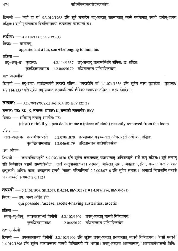 Paninian Grammar Through its Examples (The Book of Secondary Derivatives)- (IV-I Volume) - Retail Maharaj