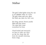 A Reluctant Survivor - Retail Maharaj