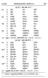 Paniniyadhatuparyayakosah (A Dictionary of Synonyms of Paninian Verbs) (Set of 2 Volumes) - Retail Maharaj