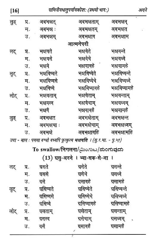 Paniniyadhatuparyayakosah (A Dictionary of Synonyms of Paninian Verbs) (Set of 2 Volumes) - Retail Maharaj