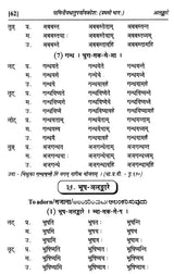Paniniyadhatuparyayakosah (A Dictionary of Synonyms of Paninian Verbs) (Set of 2 Volumes) - Retail Maharaj