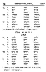 Paniniyadhatuparyayakosah (A Dictionary of Synonyms of Paninian Verbs) (Set of 2 Volumes) - Retail Maharaj