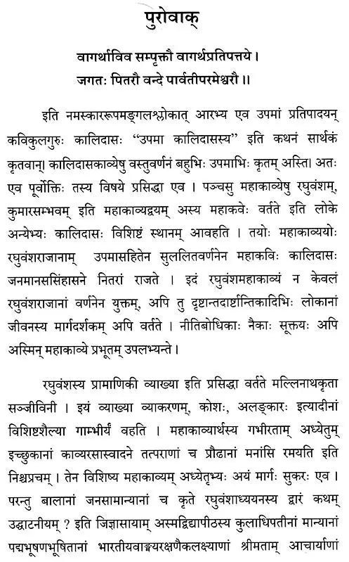 Raghuvamsam Padaccheda Anvaya Pratipadartha Bhavartha Visesavyakhyasamullasitam - Retail Maharaj