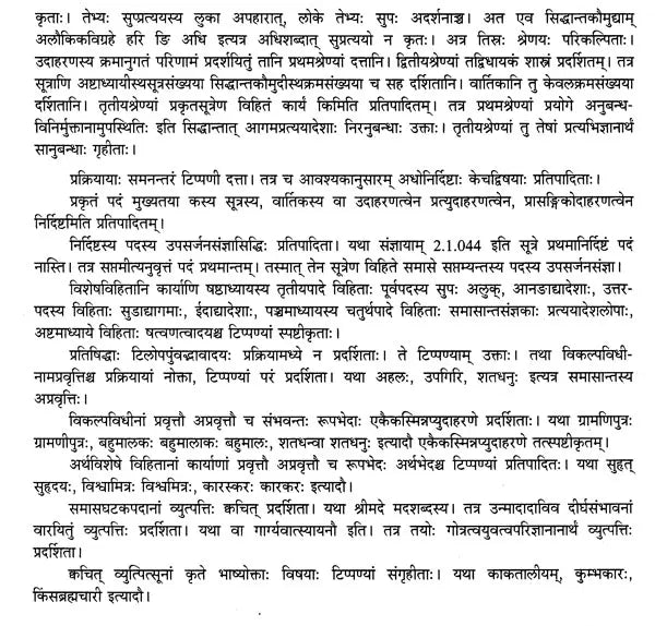 Paninian Grammar Through its Examples (The Book of Secondary Derivatives) – Vol. II - Retail Maharaj