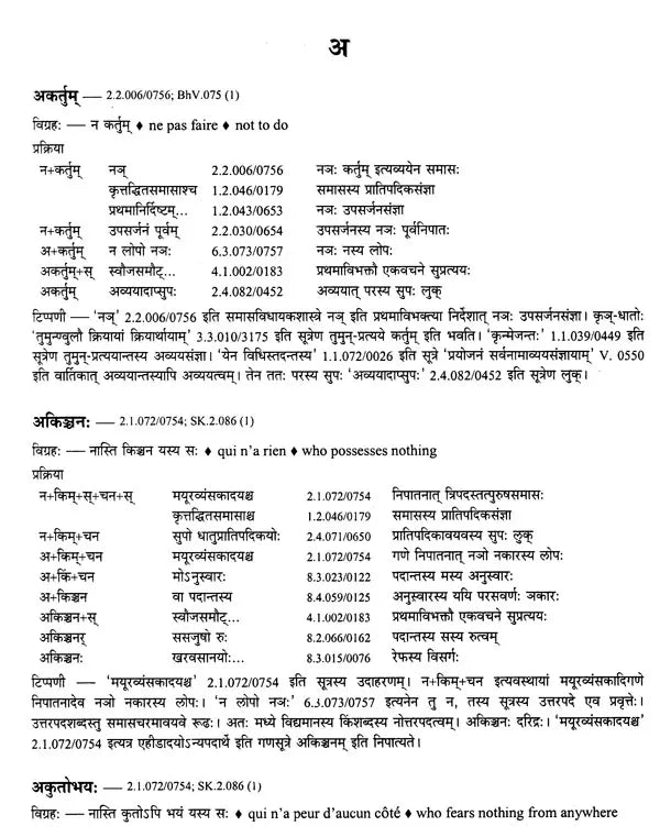 Paninian Grammar Through its Examples The Book of Secondary Derivatives Vol II - Retail Maharaj