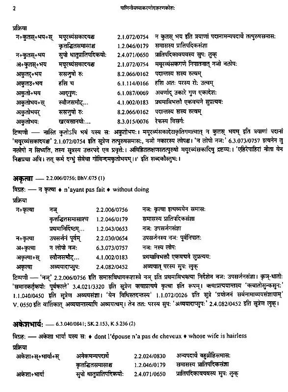 Paninian Grammar Through its Examples (The Book of Secondary Derivatives) – Vol. II - Retail Maharaj