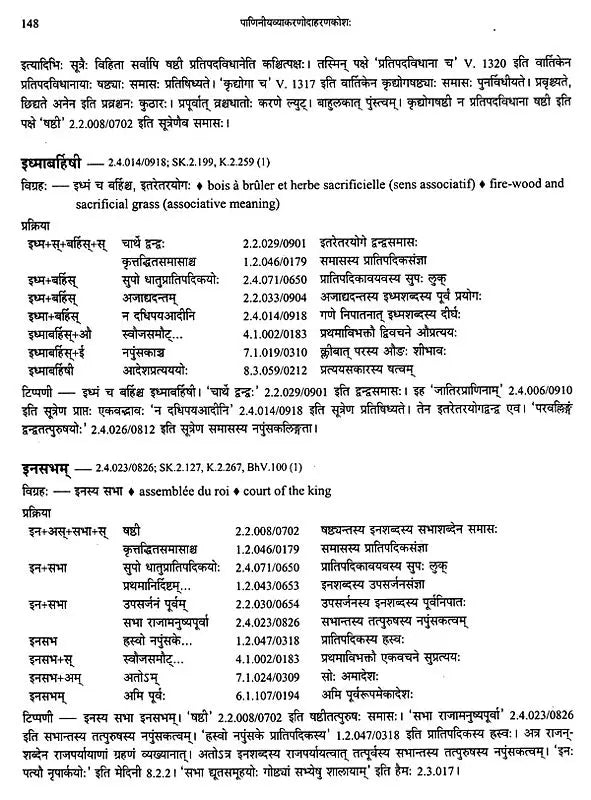 Paninian Grammar Through its Examples (The Book of Secondary Derivatives) – Vol. II - Retail Maharaj