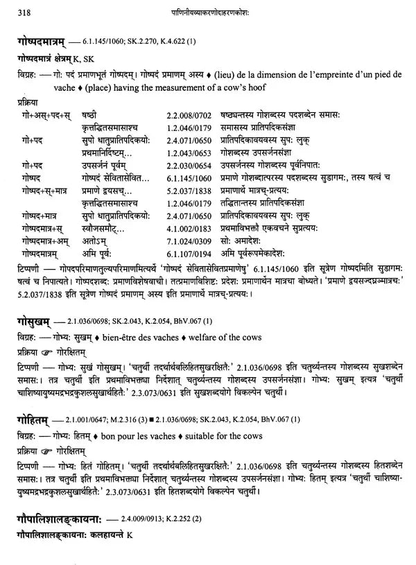 Paninian Grammar Through its Examples The Book of Secondary Derivatives Vol II - Retail Maharaj