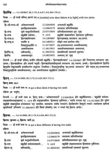 Paninian Grammar Through its Examples The Book of Secondary Derivatives Vol II - Retail Maharaj