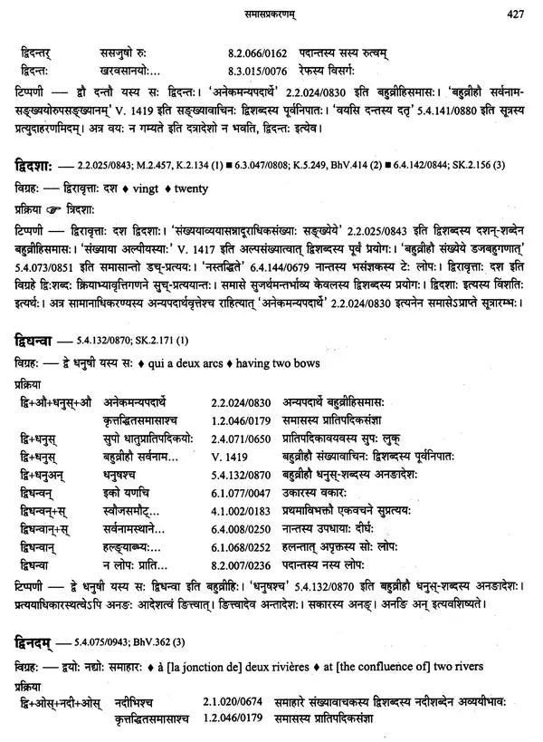 Paninian Grammar Through its Examples (The Book of Secondary Derivatives) – Vol. II - Retail Maharaj