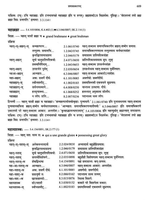 Paninian Grammar Through its Examples The Book of Secondary Derivatives Vol II - Retail Maharaj