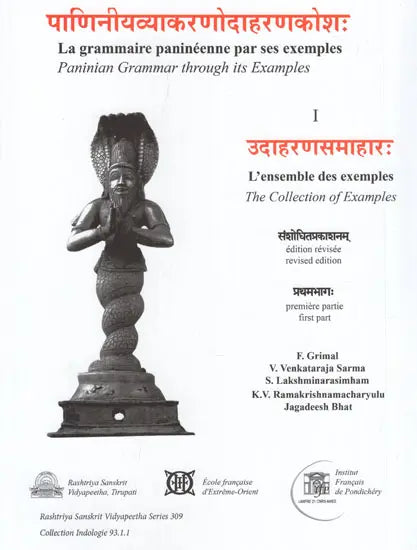 Paninian Grammar Through its Examples (The Book of Secondary Derivatives) - Vol- I.I - Retail Maharaj