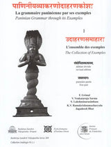 Paninian Grammar Through its Examples (The Book of Secondary Derivatives) - Vol- I.I - Retail Maharaj