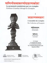 Paninian Grammar Through its Examples (The Book of Secondary Derivatives) - Vol- I.II - Retail Maharaj