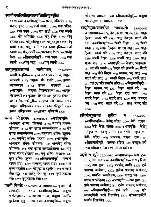 Paninian Grammar Through its Examples (The Book of Secondary Derivatives) - Vol- I.II - Retail Maharaj