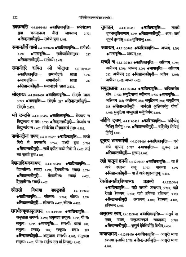 Paninian Grammar Through its Examples (The Book of Secondary Derivatives) - Vol- I.II - Retail Maharaj