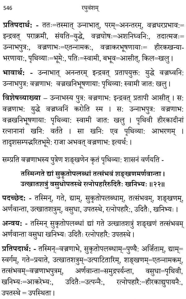 Raghuvamsam: Padaccheda Anvaya Pratipadartha Bhavartha Visesavyakhyasamullasitam (Volume 2) - Retail Maharaj