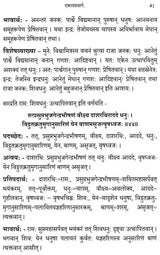 Raghuvamsam: Padaccheda Anvaya Pratipadartha Bhavartha Visesavyakhyasamullasitam (Set of 2 Volumes) - Retail Maharaj
