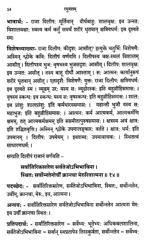 Raghuvamsam: Padaccheda Anvaya Pratipadartha Bhavartha Visesavyakhyasamullasitam (Set of 2 Volumes) - Retail Maharaj