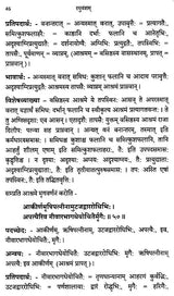 Raghuvamsam: Padaccheda Anvaya Pratipadartha Bhavartha Visesavyakhyasamullasitam (Set of 2 Volumes) - Retail Maharaj