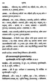 Raghuvamsam: Padaccheda Anvaya Pratipadartha Bhavartha Visesavyakhyasamullasitam (Set of 2 Volumes) - Retail Maharaj
