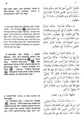 Sahih Al-Bukhari: The Translation of the Meanings of (Set of 9 Volumes) - Retail Maharaj
