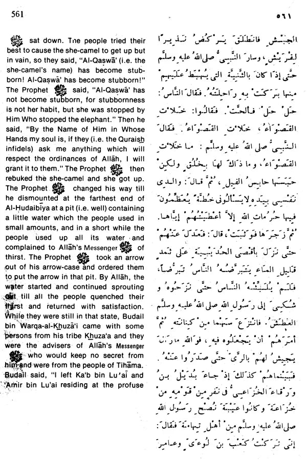 Sahih Al-Bukhari: The Translation of the Meanings of (Set of 9 Volumes) - Retail Maharaj