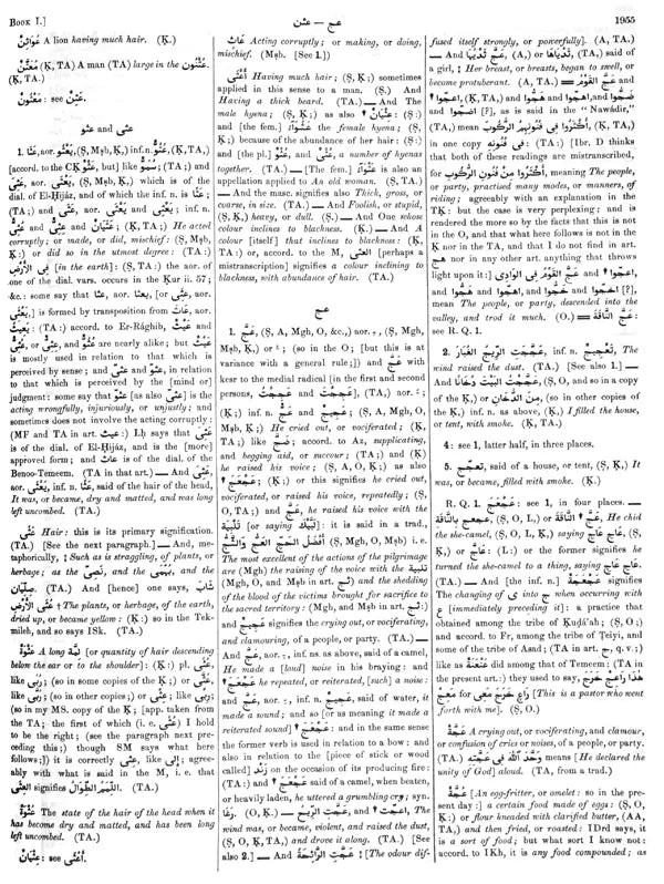 Arabic English Lexicon- Dictionary (Set of 2 Volumes) - Retail Maharaj