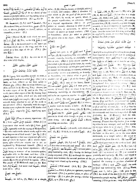 Arabic English Lexicon- Dictionary (Set of 2 Volumes) - Retail Maharaj