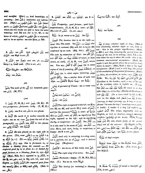 Arabic English Lexicon- Dictionary (Set of 2 Volumes) - Retail Maharaj