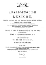 Arabic English Lexicon- Dictionary (Set of 2 Volumes) - Retail Maharaj