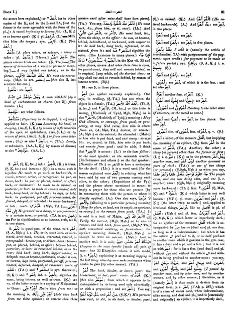 Arabic English Lexicon- Dictionary (Set of 2 Volumes) - Retail Maharaj
