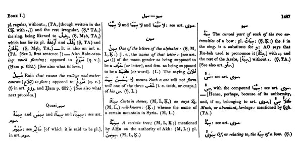 Arabic English Lexicon- Dictionary (Set of 2 Volumes) - Retail Maharaj