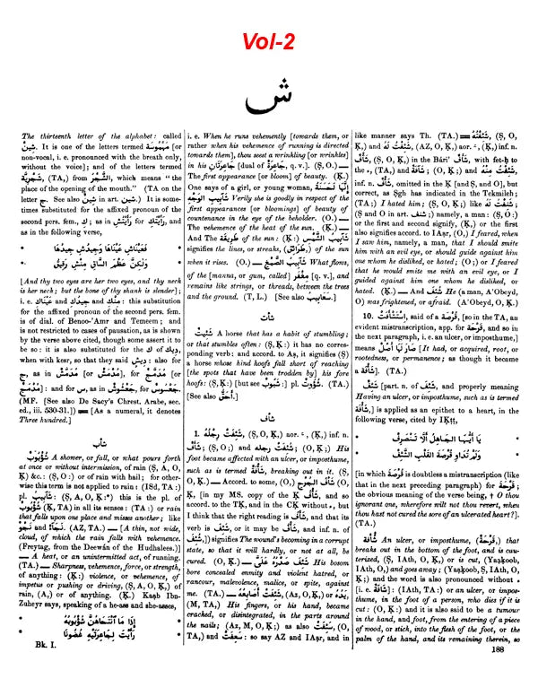 Arabic English Lexicon- Dictionary (Set of 2 Volumes) - Retail Maharaj