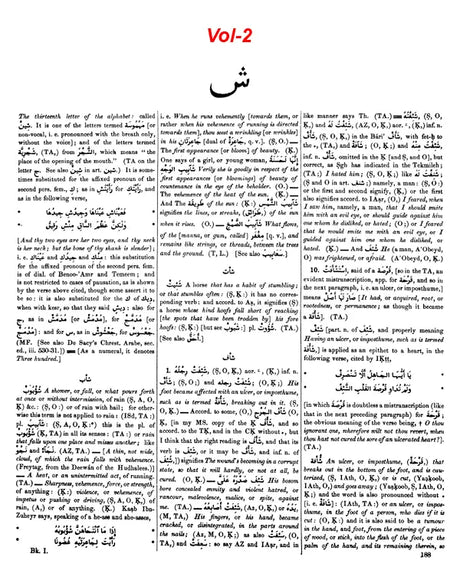 Arabic English Lexicon- Dictionary (Set of 2 Volumes) - Retail Maharaj