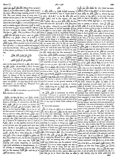 Arabic English Lexicon- Dictionary (Set of 2 Volumes) - Retail Maharaj