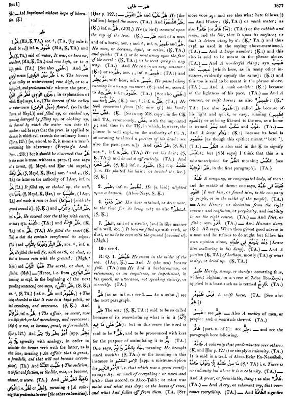 Arabic English Lexicon- Dictionary (Set of 2 Volumes) - Retail Maharaj