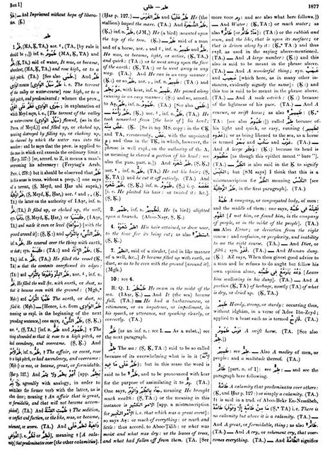 Arabic English Lexicon- Dictionary (Set of 2 Volumes) - Retail Maharaj