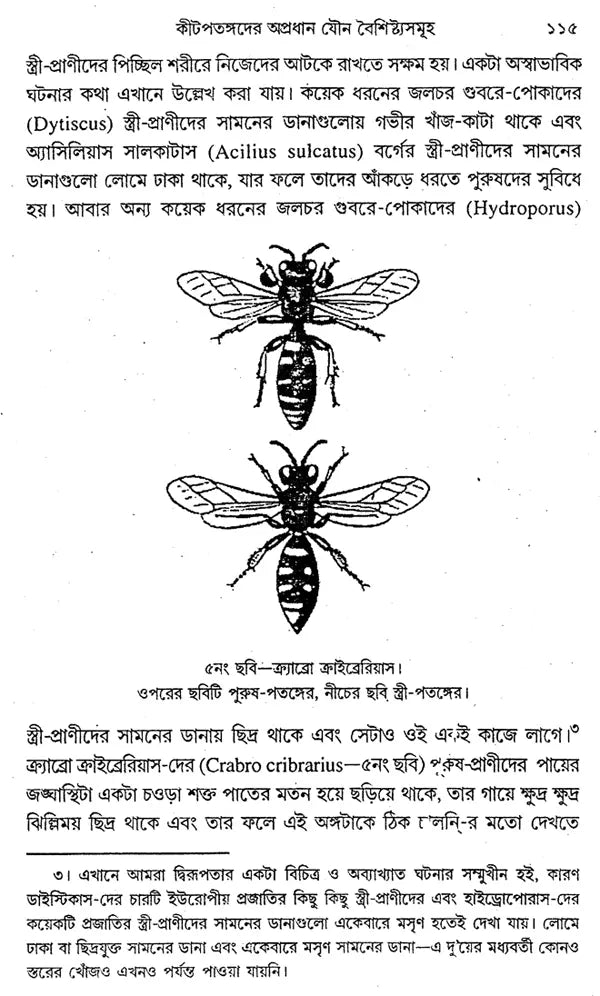 ডিসেন্ট অফ ম্যান: The Descent of Man And Selection In Relation To Sex (Set of 2 Volumes) (Bengali)