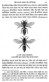 ডিসেন্ট অফ ম্যান: The Descent of Man And Selection In Relation To Sex (Set of 2 Volumes) (Bengali)