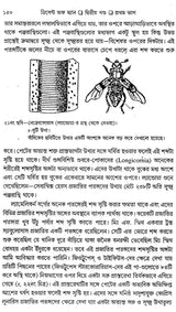 ডিসেন্ট অফ ম্যান: The Descent of Man And Selection In Relation To Sex (Set of 2 Volumes) (Bengali)