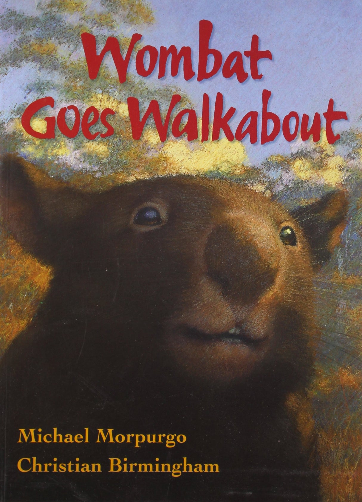 Wombat Goes Walkabout - Retail Maharaj