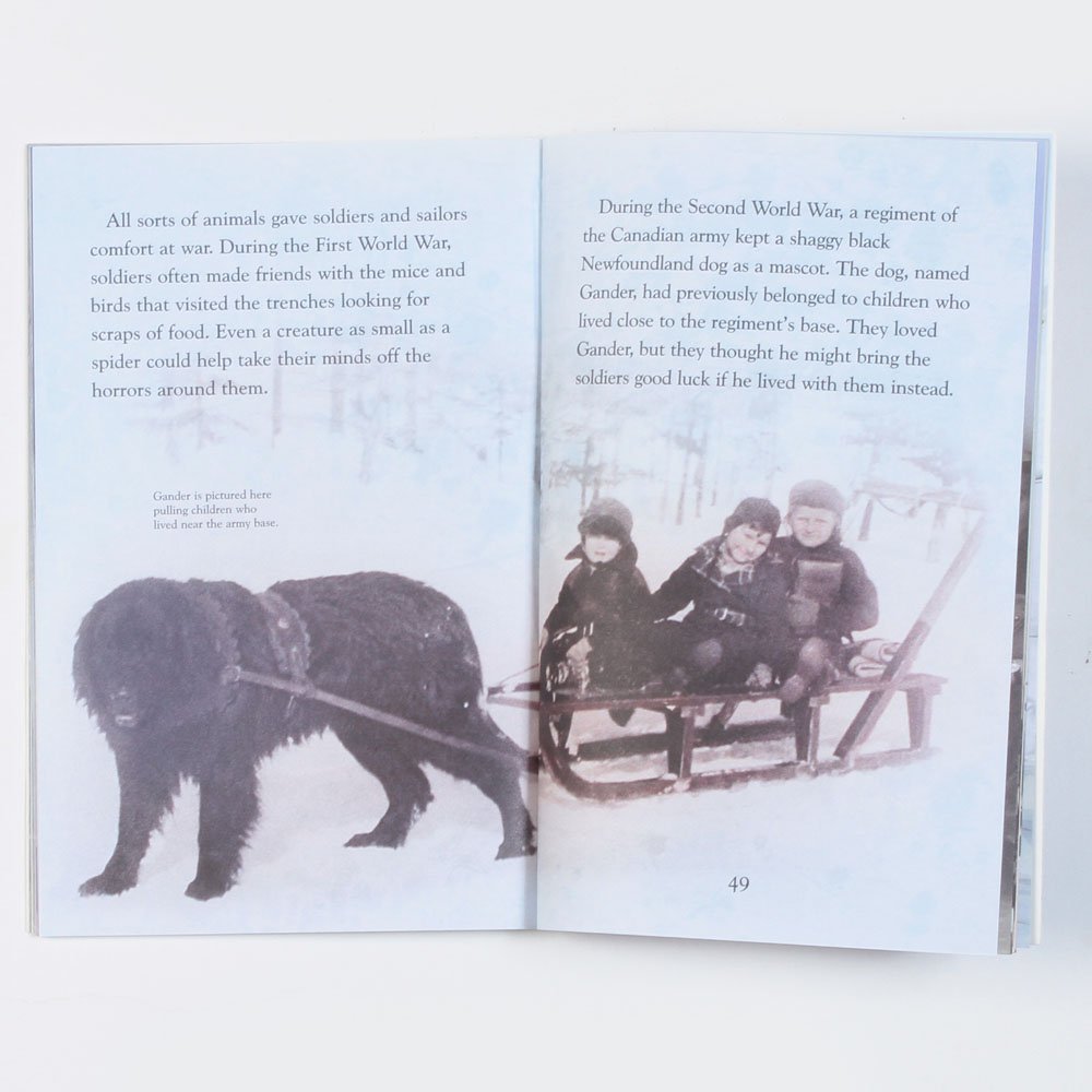 Animals at War (Young Reading Level 3) - Retail Maharaj